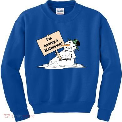 I'm Having A Meltdown Kids Sweatshirt