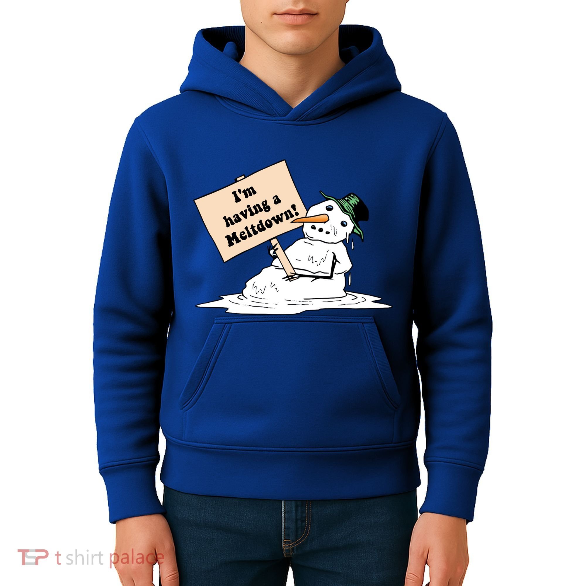 I'm Having A Meltdown Kids Hoodie