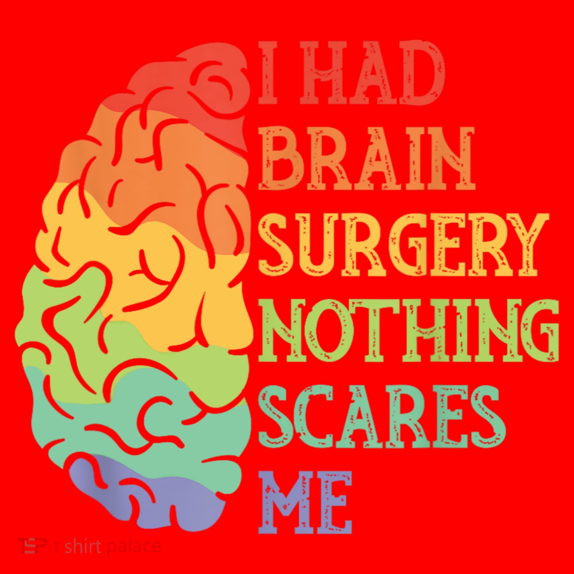I Had Brain Surgery Nothing Scares Me Santa Hat