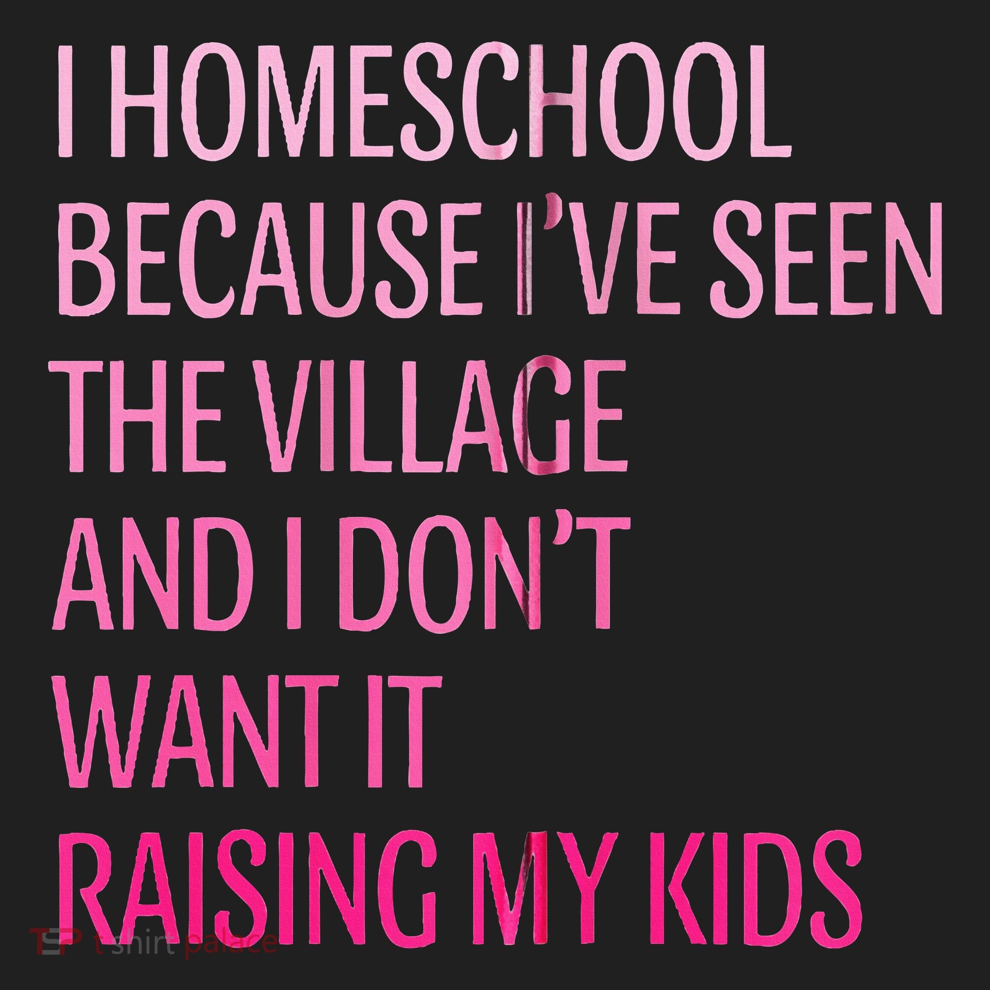 I Homeschool Because I’Ve Seen The Village Homeschool Mom Beanie
