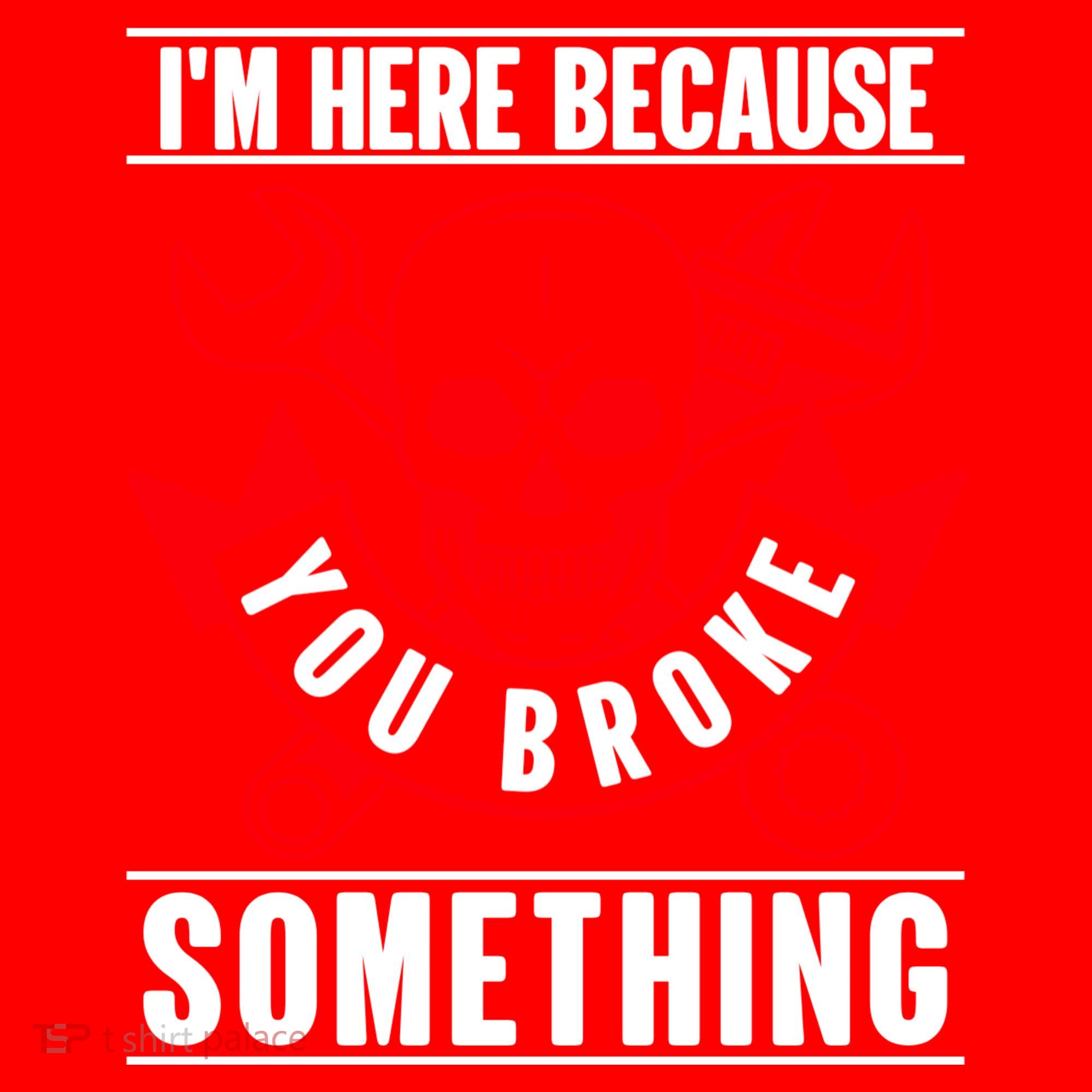 I'm Here Because You Broke Something Funny Mechanic Gifts Santa Hat