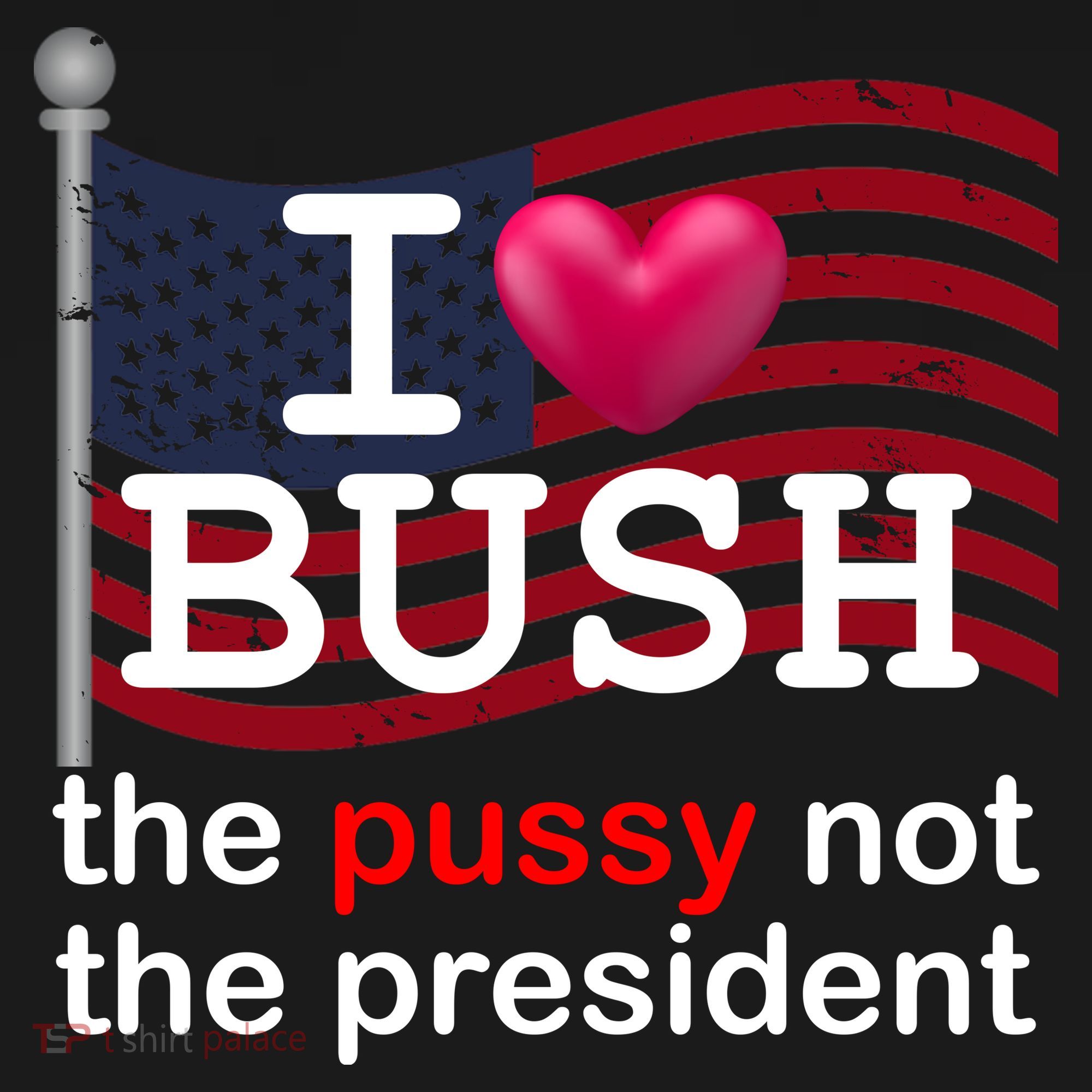 I Heart Bush The Pussy Not The President Backpack