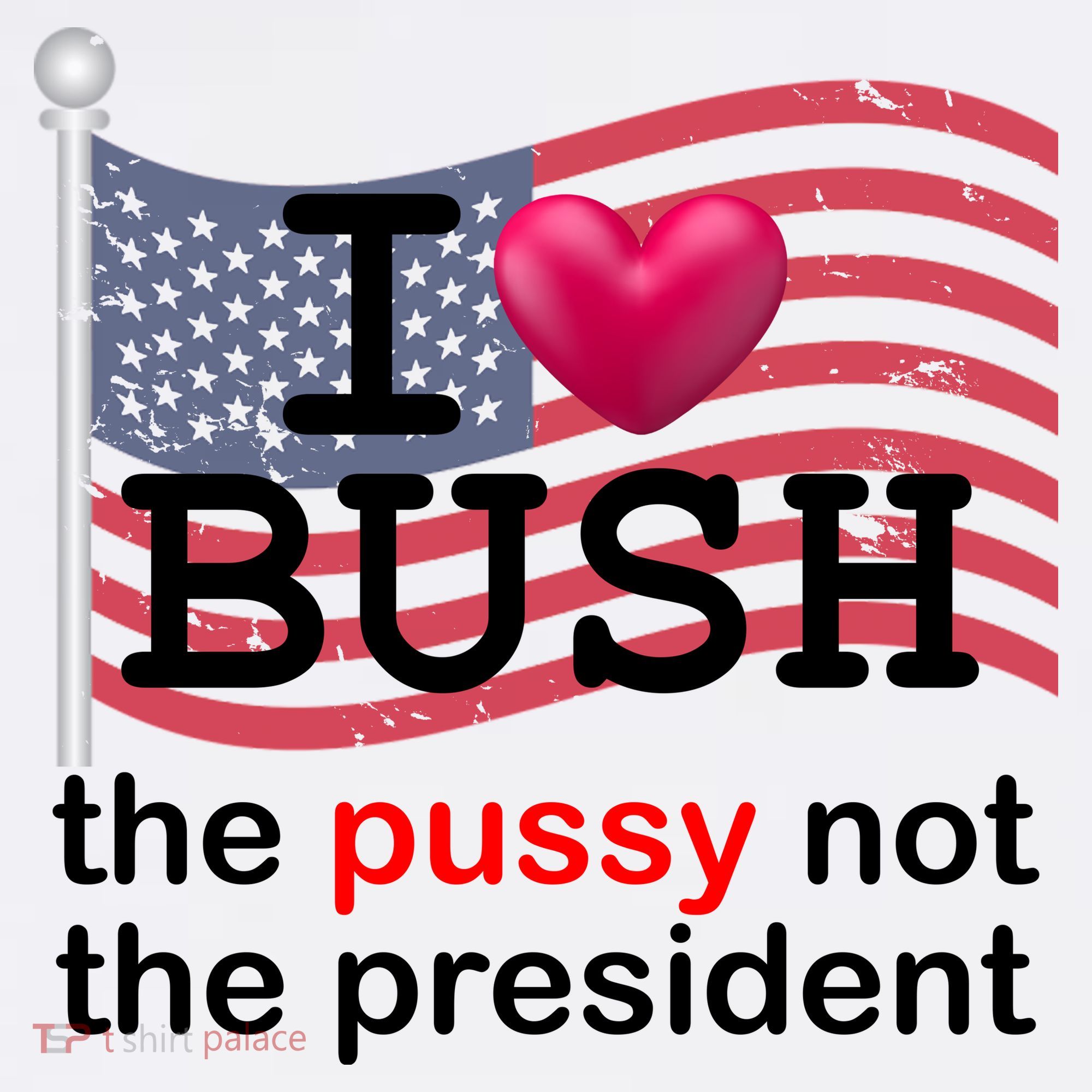 I Heart Bush The Pussy Not The President Women's Hoodie
