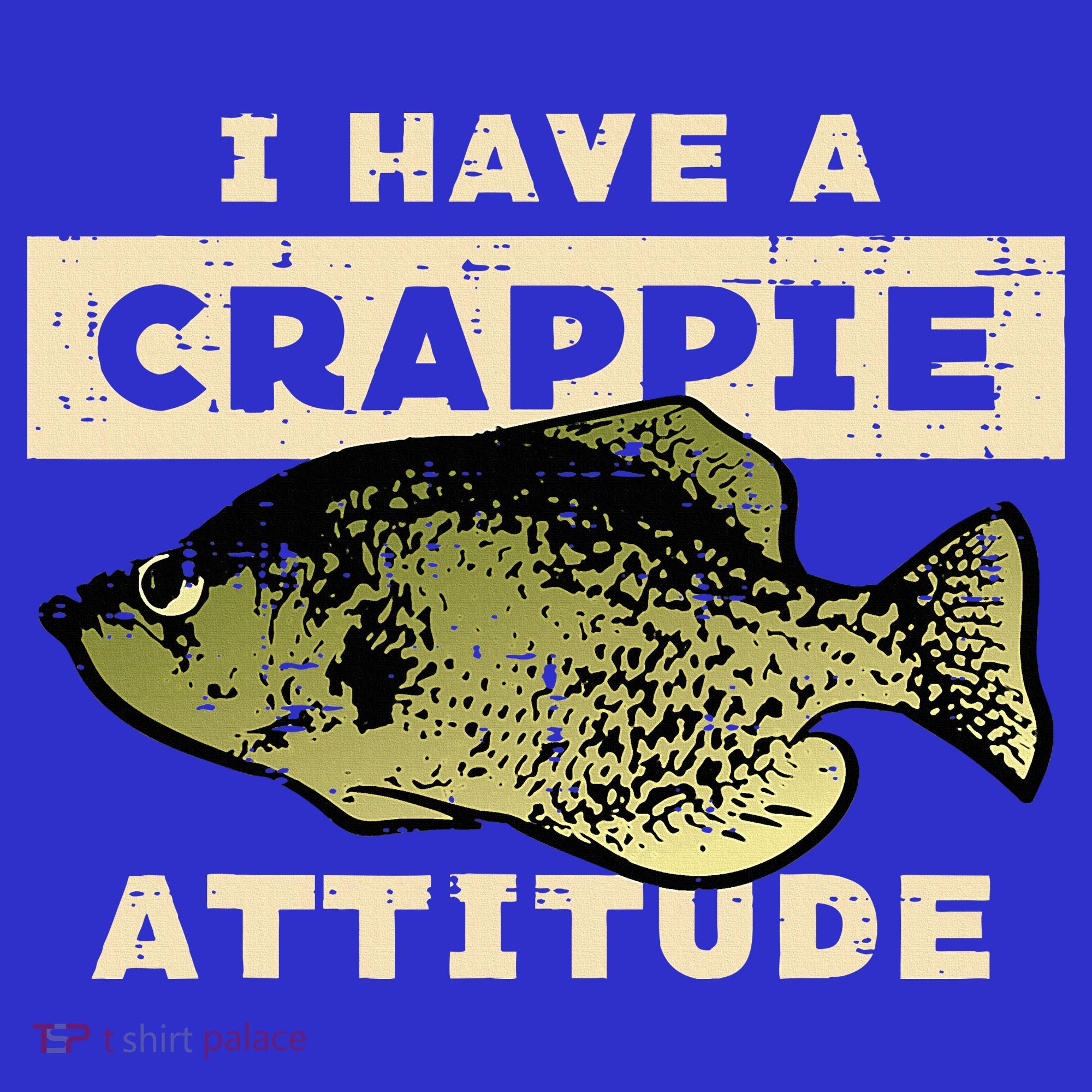 I Have Crappie Attitude Fishing Funny Fish Kids T-Shirt