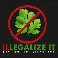 I Hate Cilantro Illegalize It Say No To Cilantro! Toddler Hoodie thumb 2
