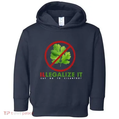 Toddler Hoodie