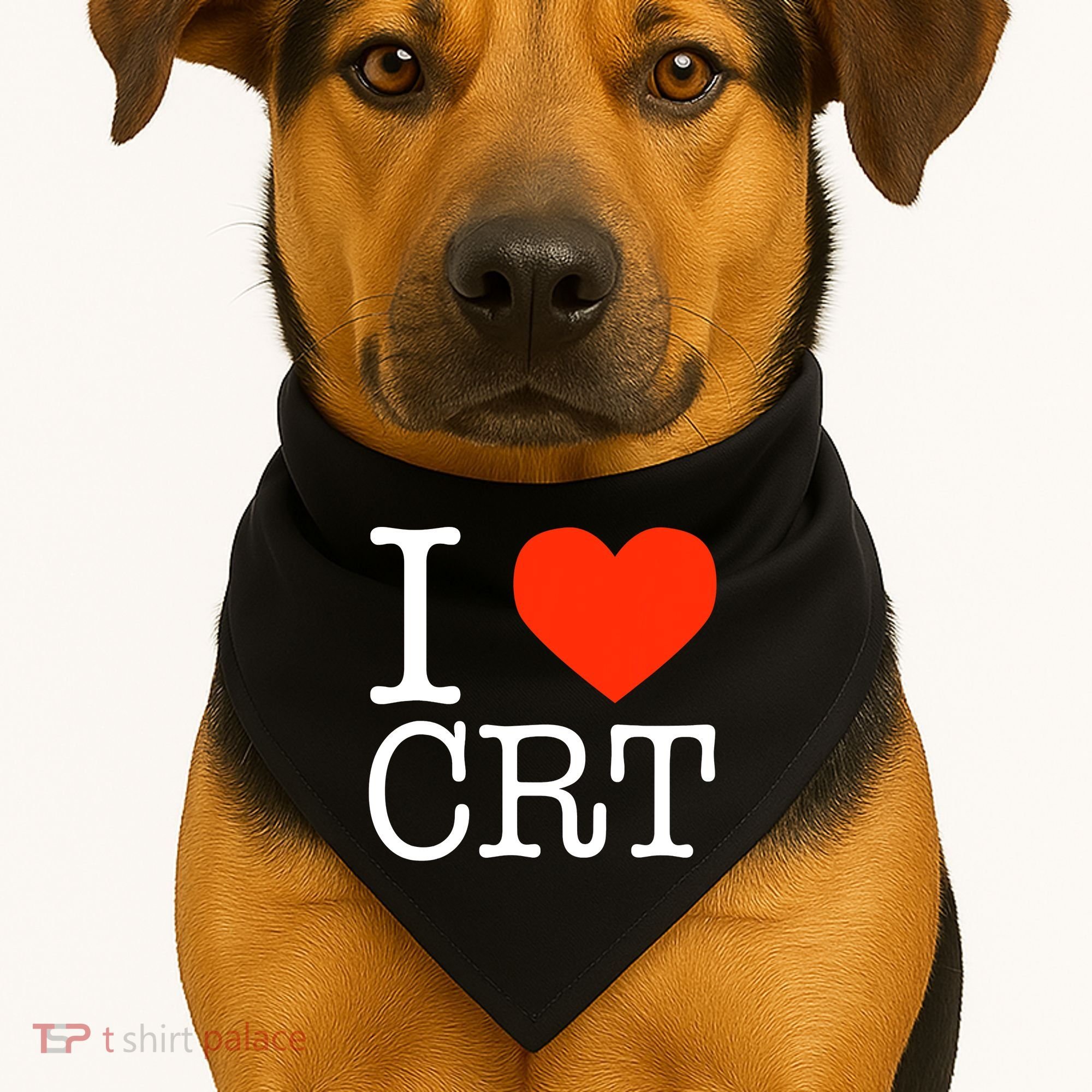 I Heart CRT Critical Race Theory Racial Justice BLM USA-Made Doggie Bandana
