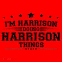 Im Harrison Doing Harrison Things Santa Hat thumb 1