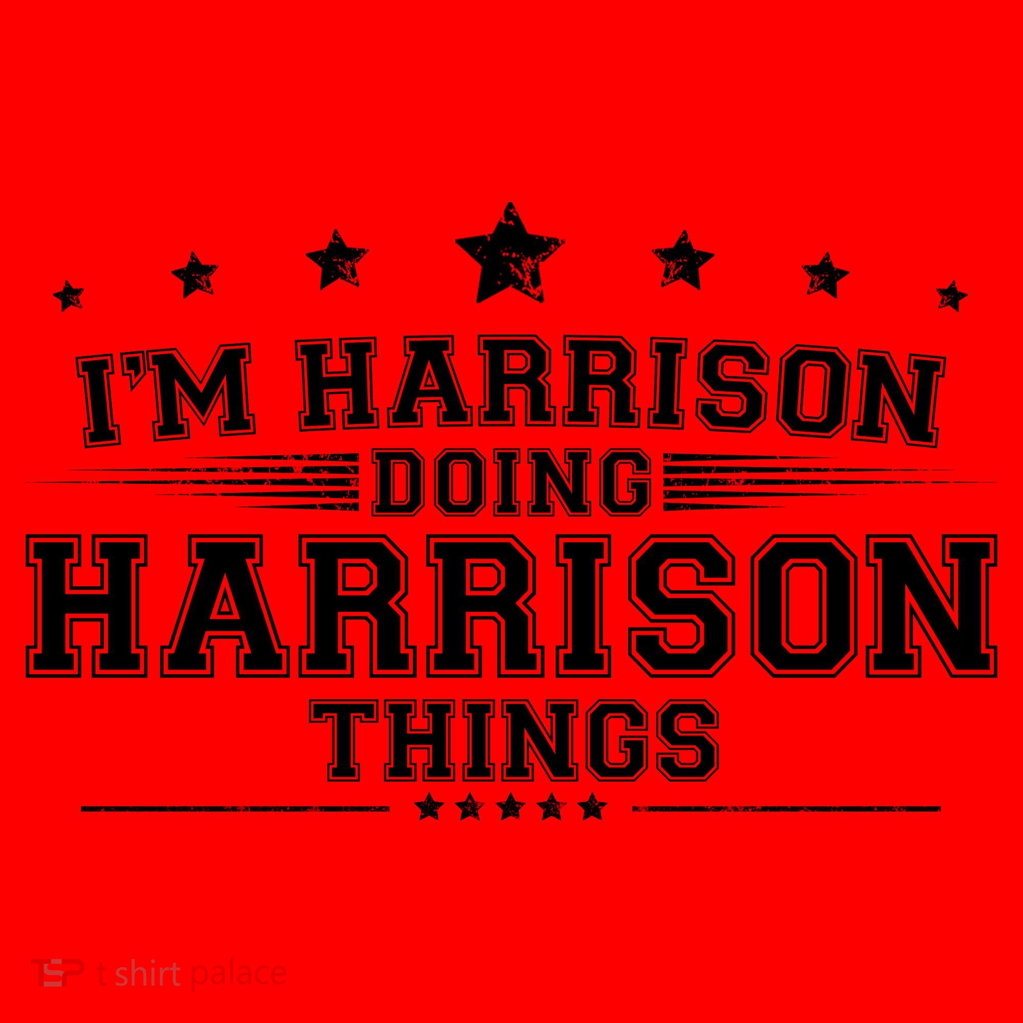 Im Harrison Doing Harrison Things Santa Hat