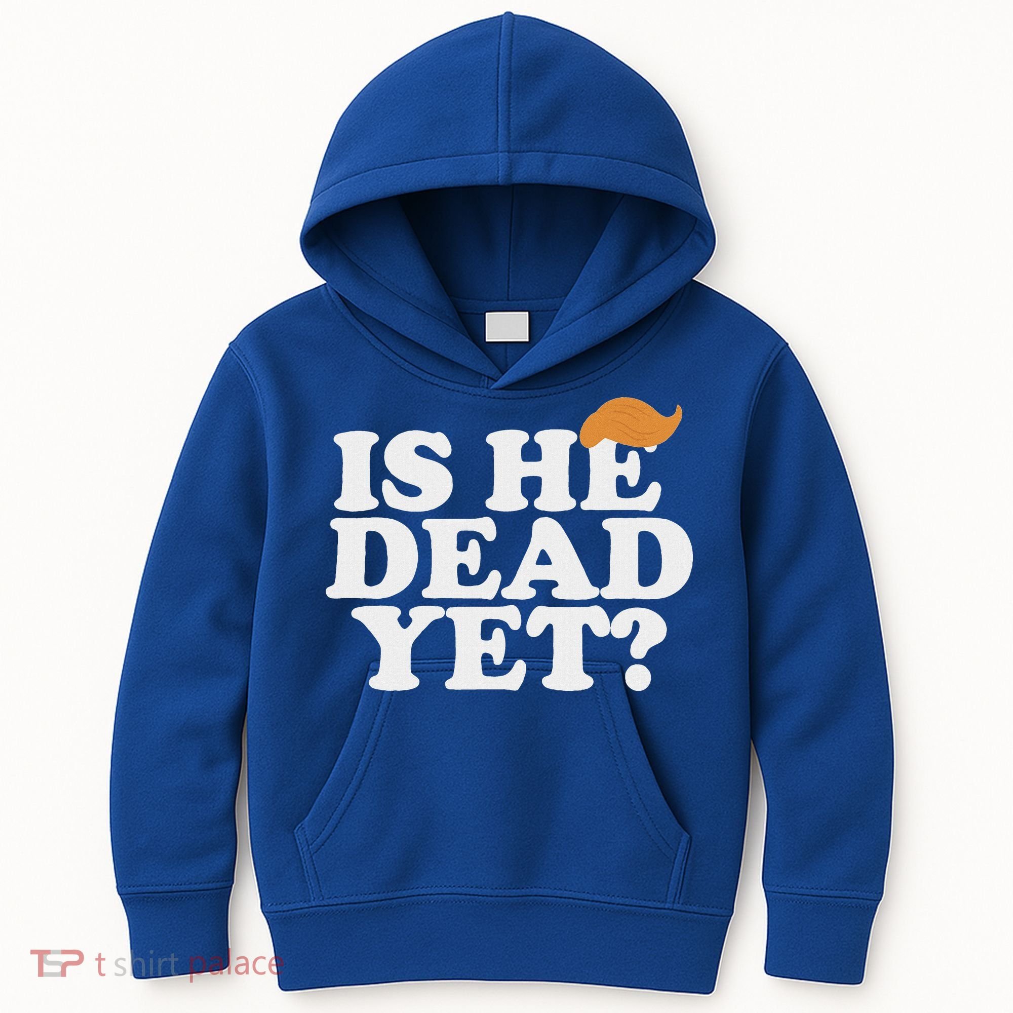 Is He Dead Yet Bold Kids Hoodie