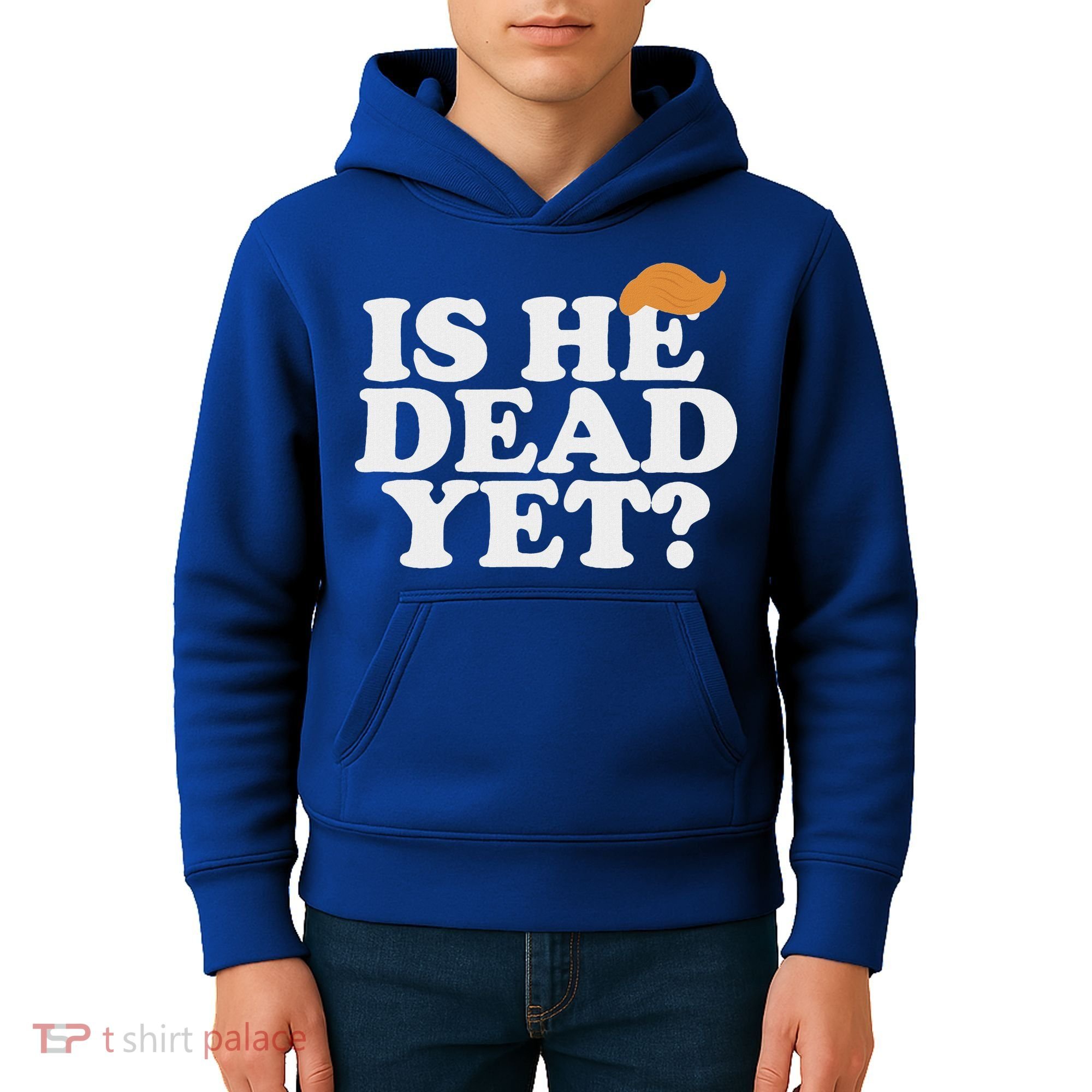 Is He Dead Yet Bold Kids Hoodie