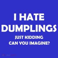 I HATE DUMPLINGS JUST KIDDING FUNNY Hoodie thumb 7