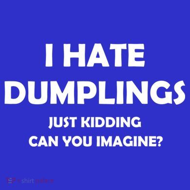 I HATE DUMPLINGS JUST KIDDING FUNNY Apron