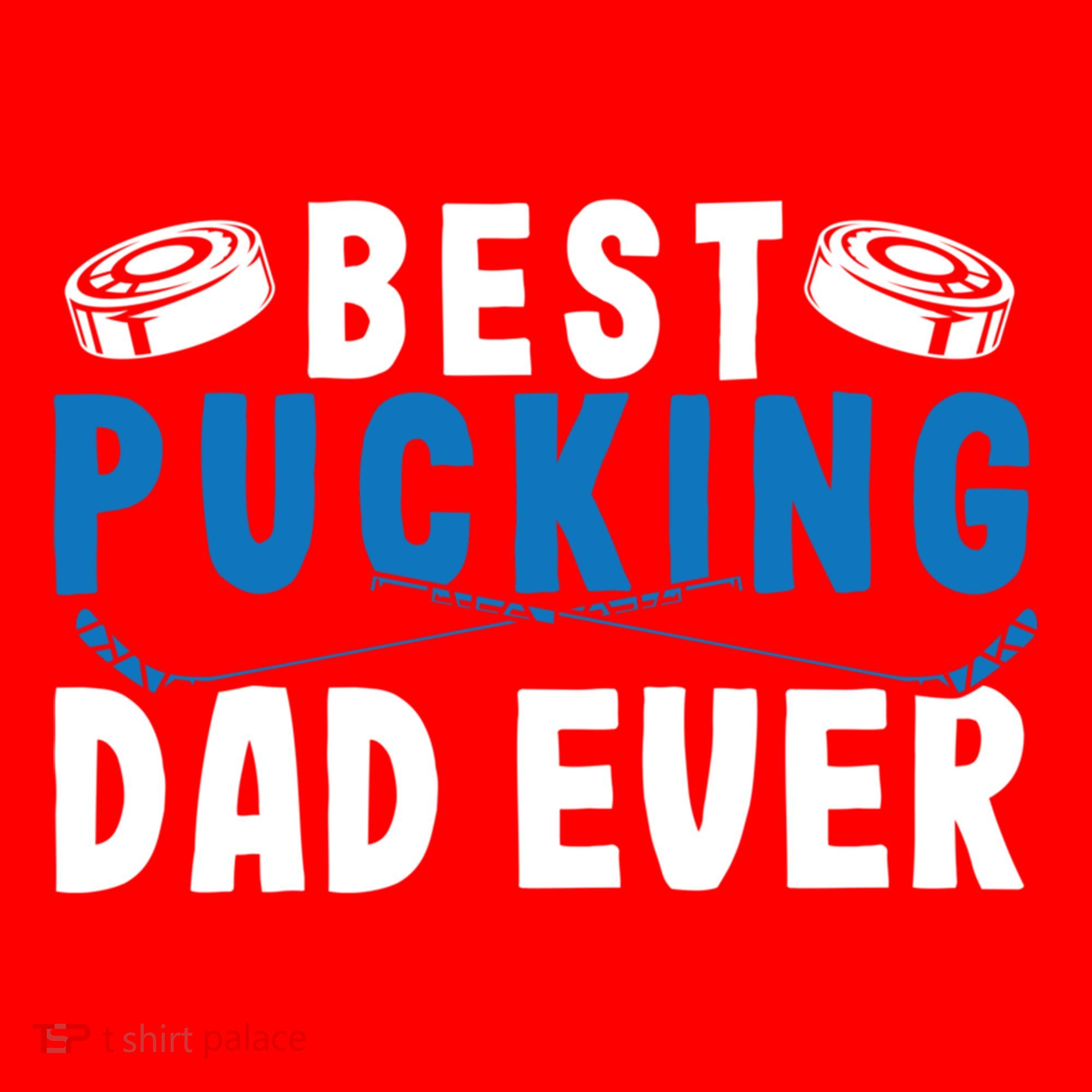Ice Hockey Dad Best Pucking Dad Gift Santa Hat
