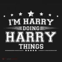 Im Harry Doing Harry Things Women's T-Shirt thumb 6