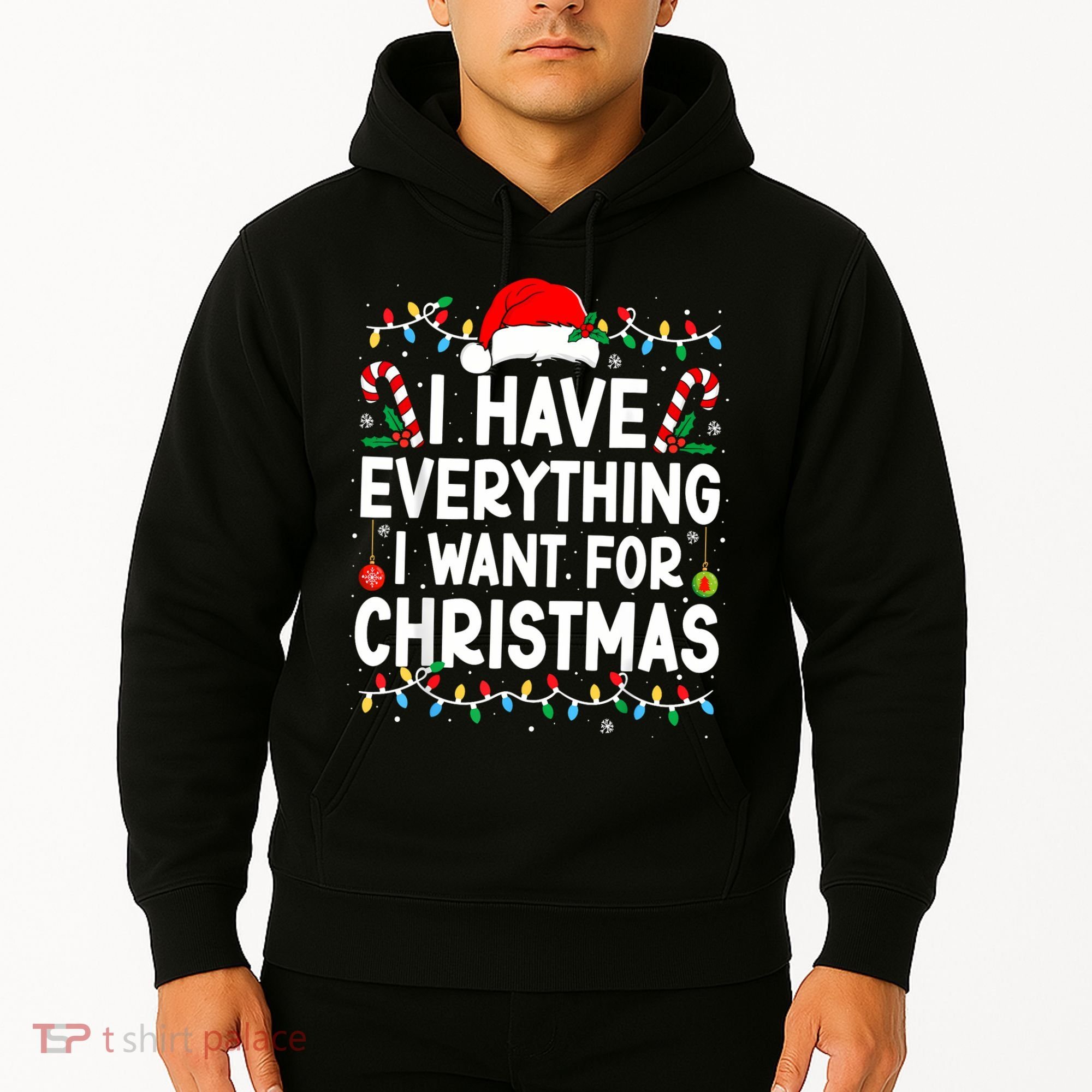 I Have Everything I Want For Christmas Hoodie
