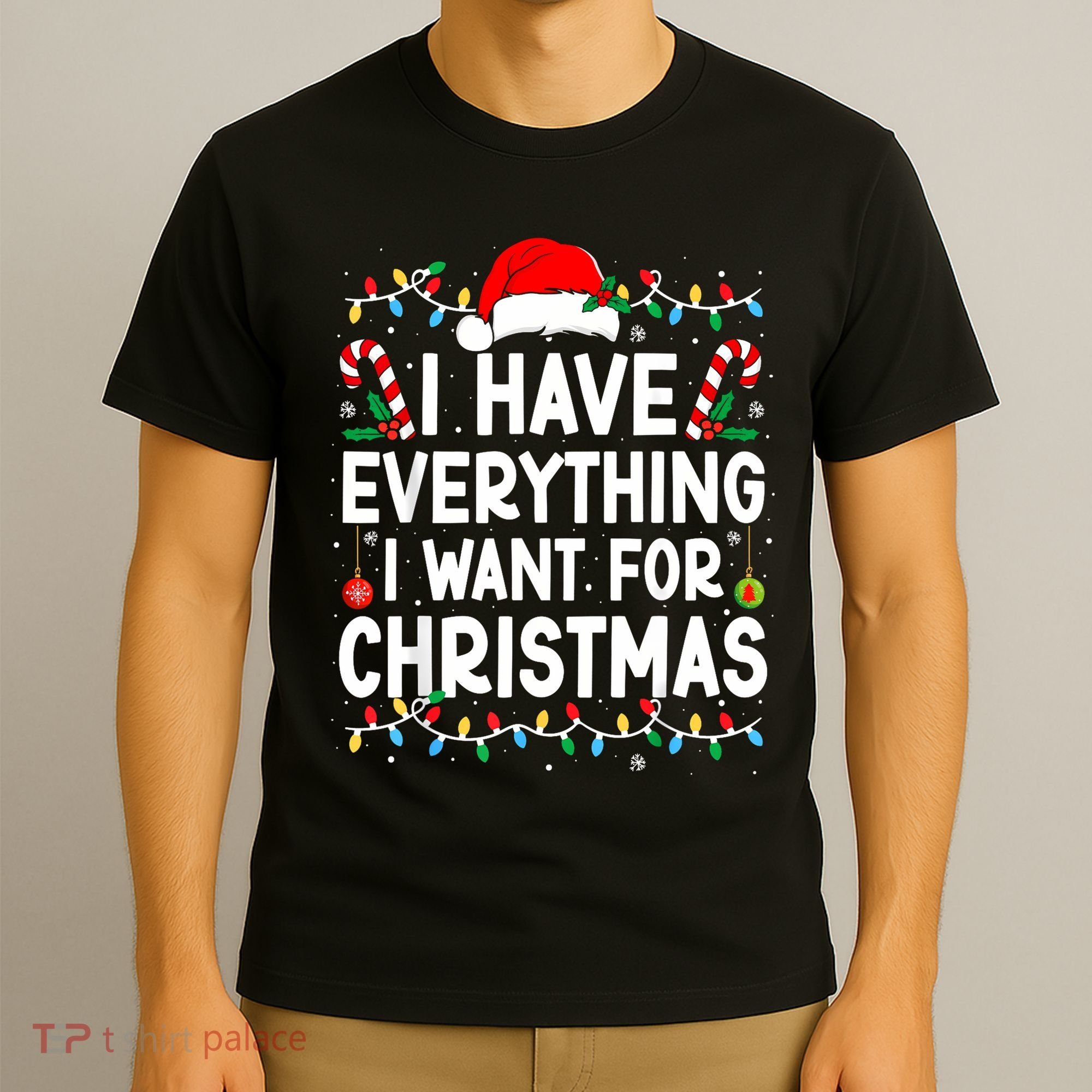 I Have Everything I Want For Christmas T-Shirt