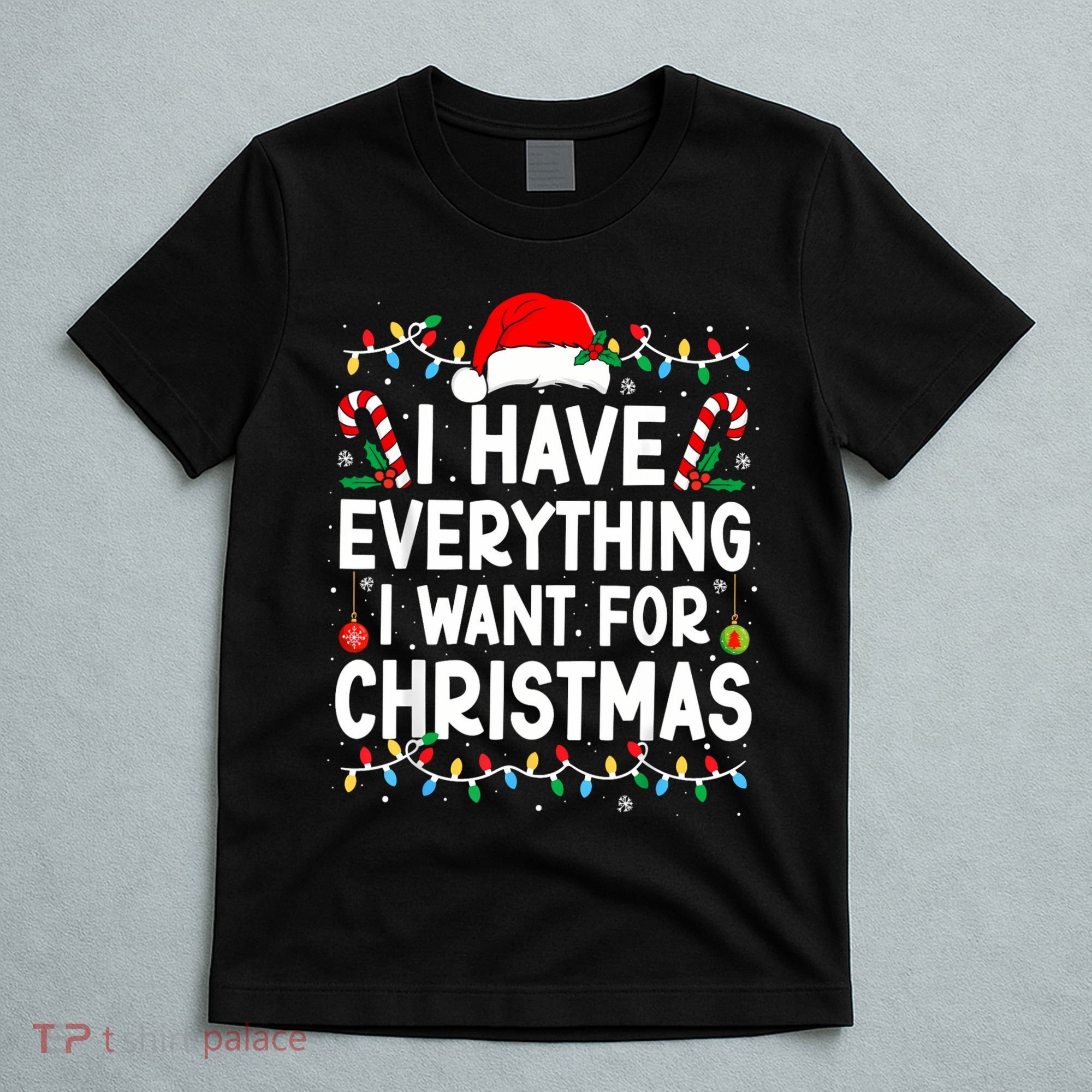 I Have Everything I Want For Christmas T-Shirt