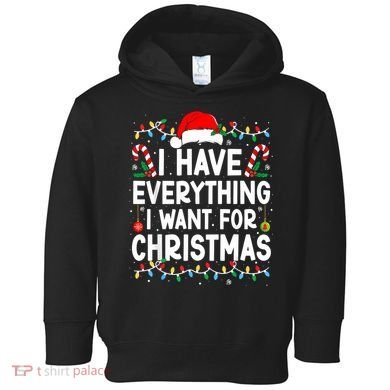 I Have Everything I Want For Christmas Toddler Hoodie