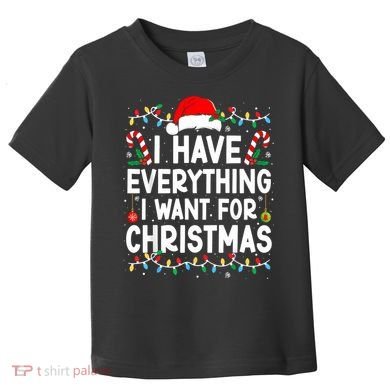 I Have Everything I Want For Christmas Toddler T-Shirt
