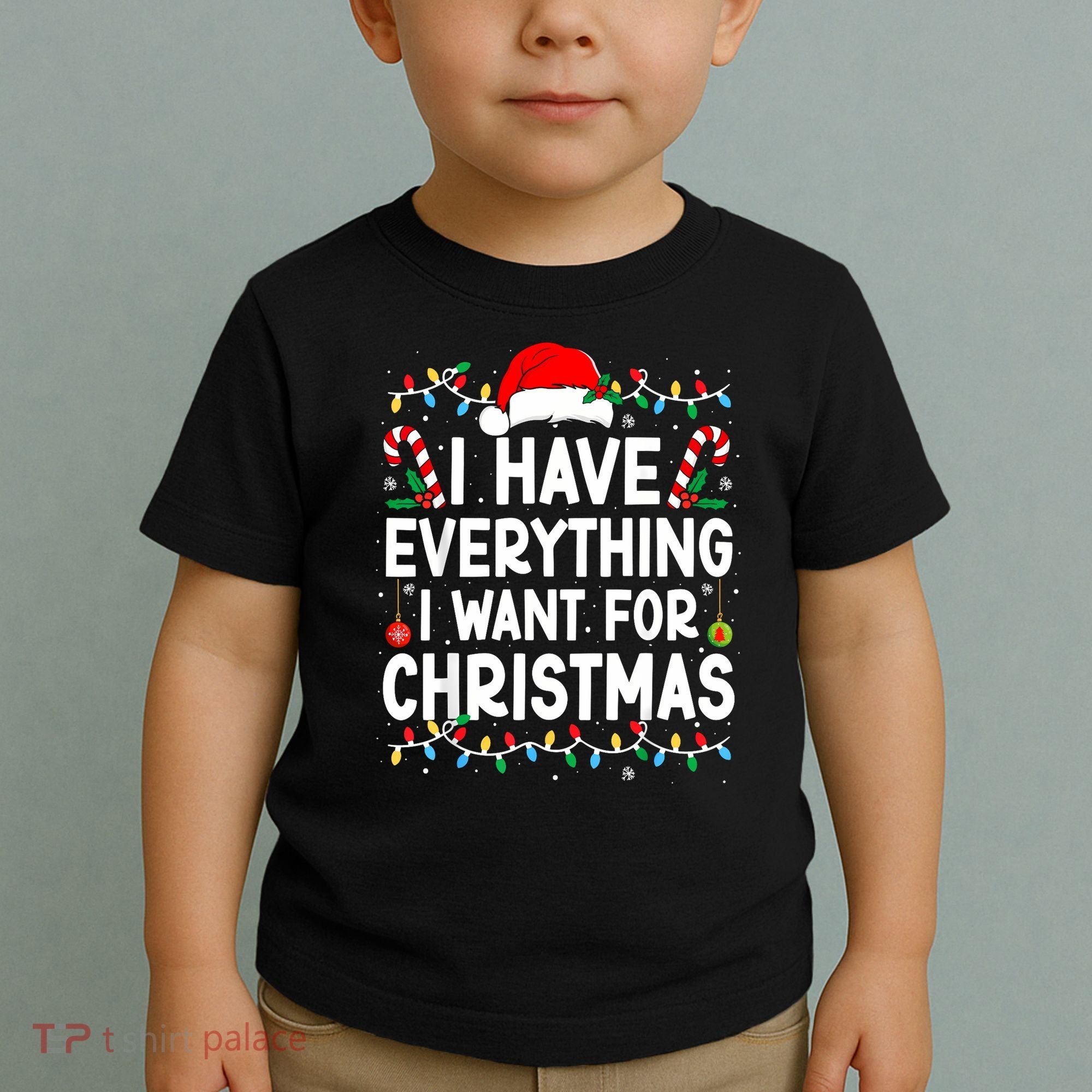 I Have Everything I Want For Christmas Toddler T-Shirt