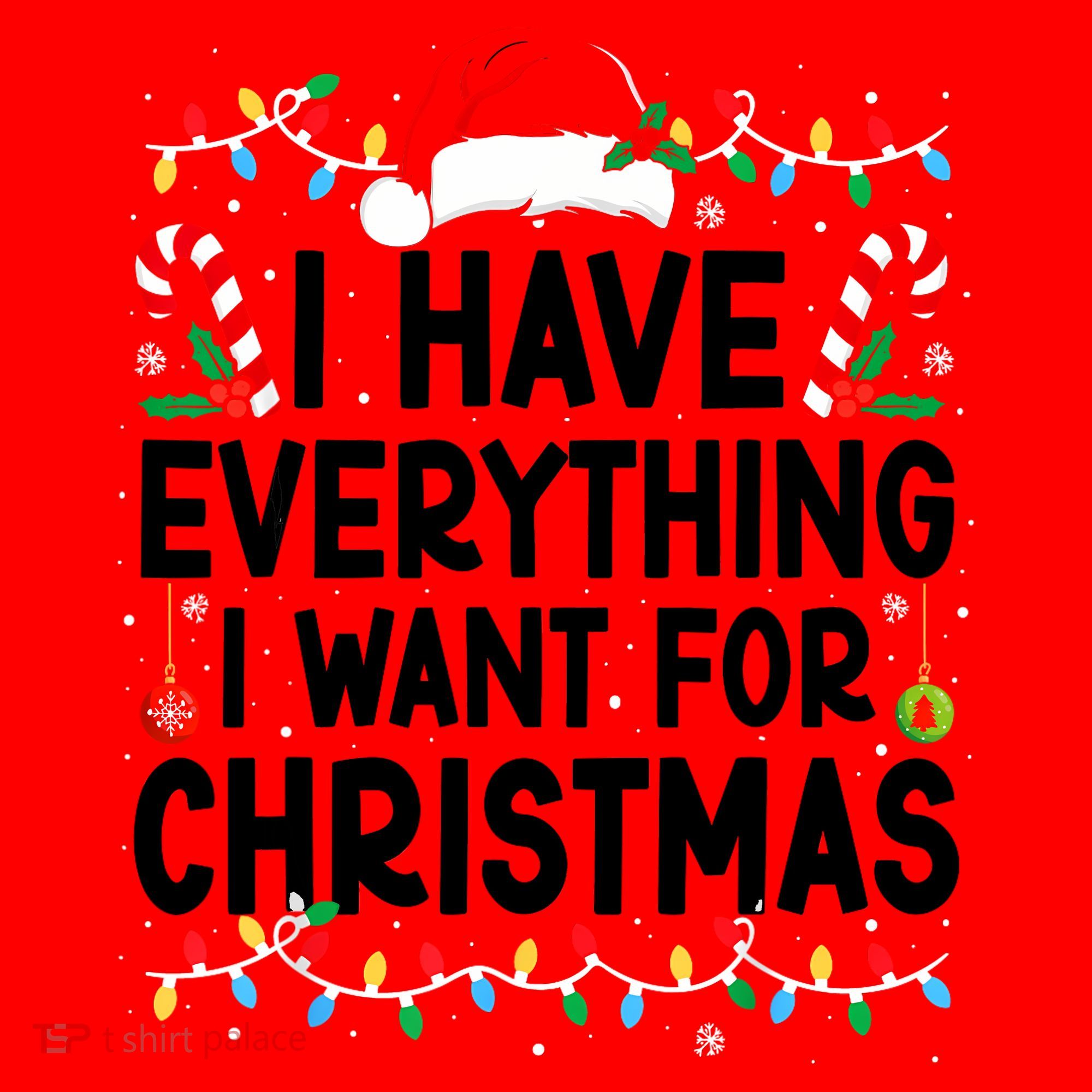 I Have Everything I Want For Christmas Santa Hat