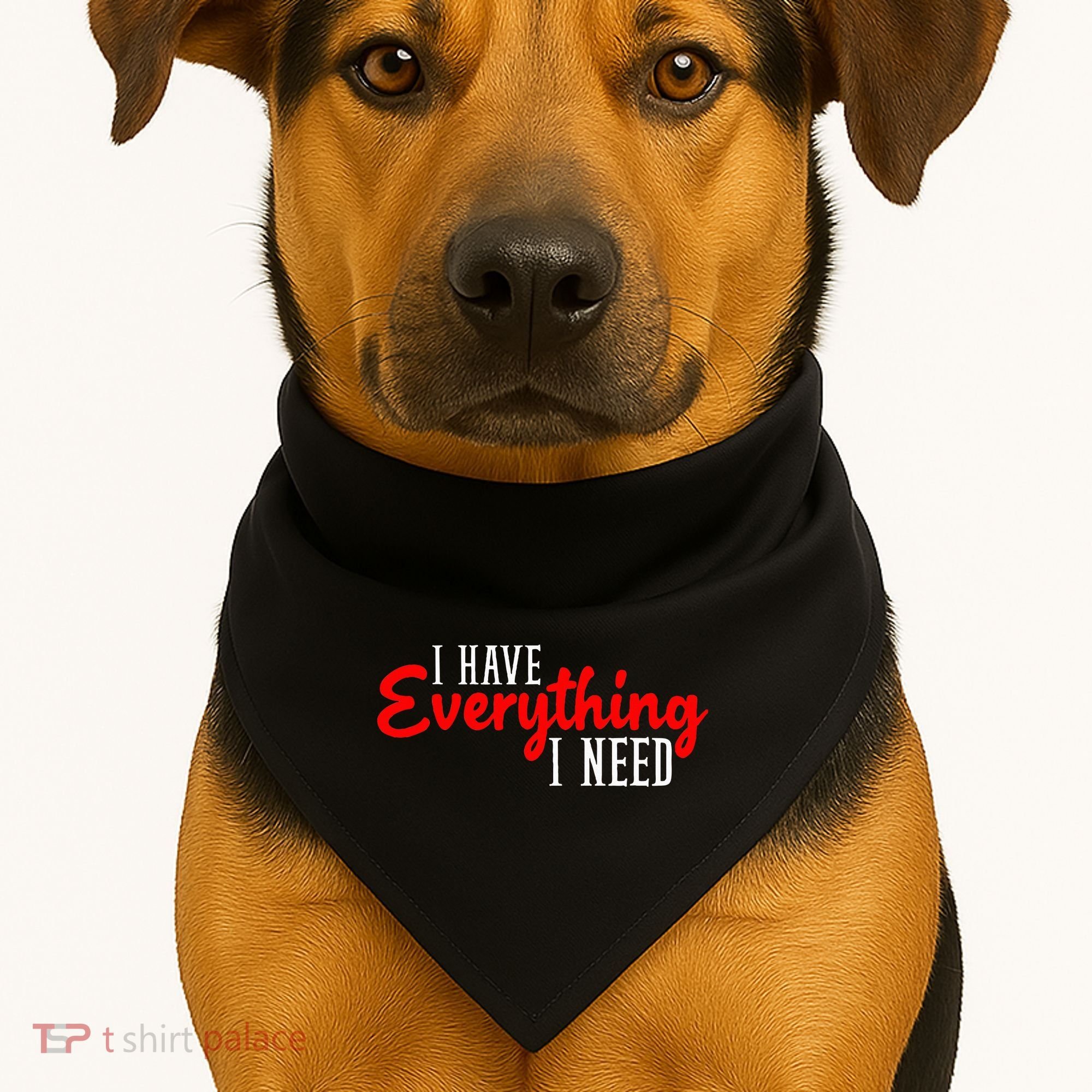 I Have Everything I Need I Am Everything Matching Couple USA-Made Doggie Bandana
