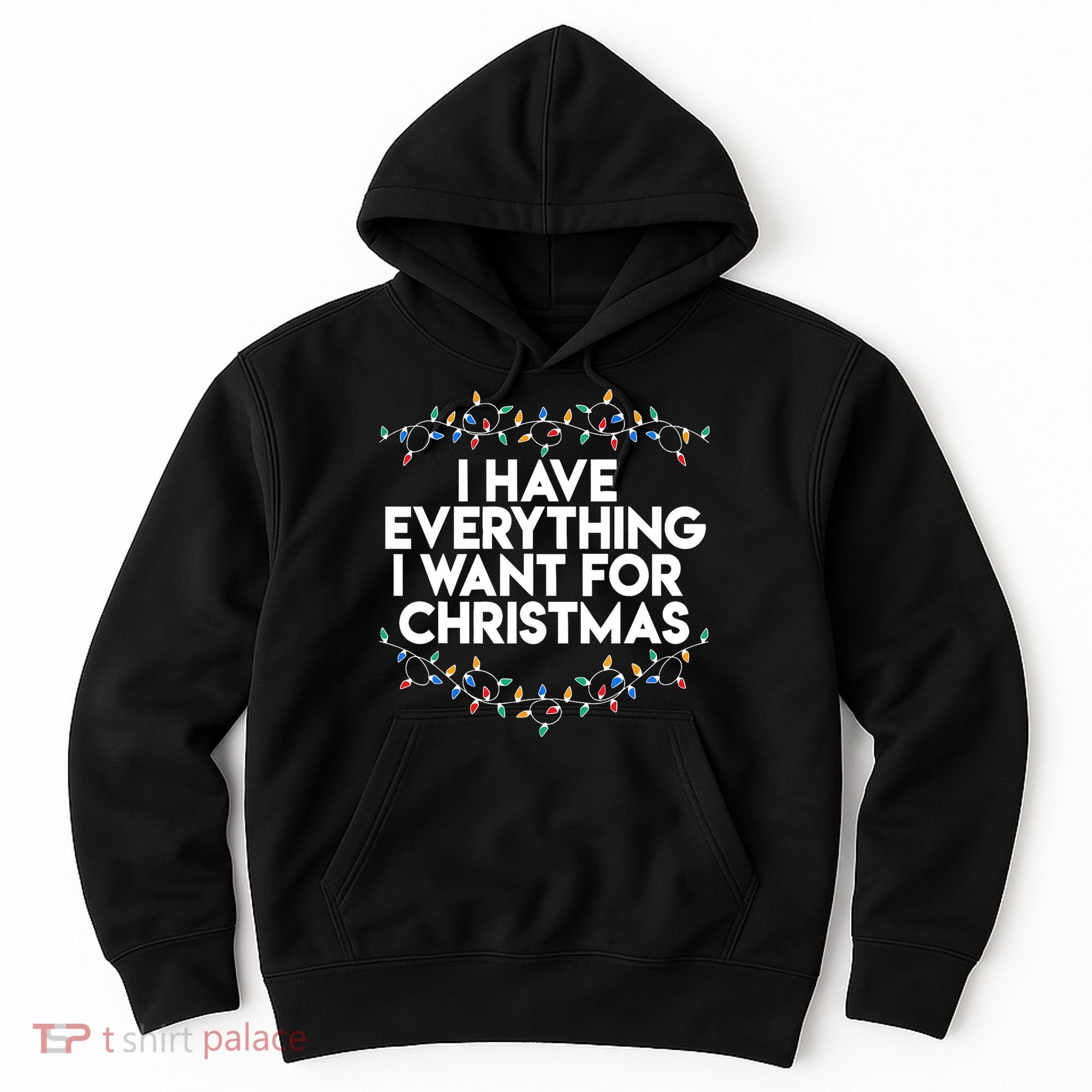 I Have Everything I Want For Christmas Funny Xmas Couples Hoodie