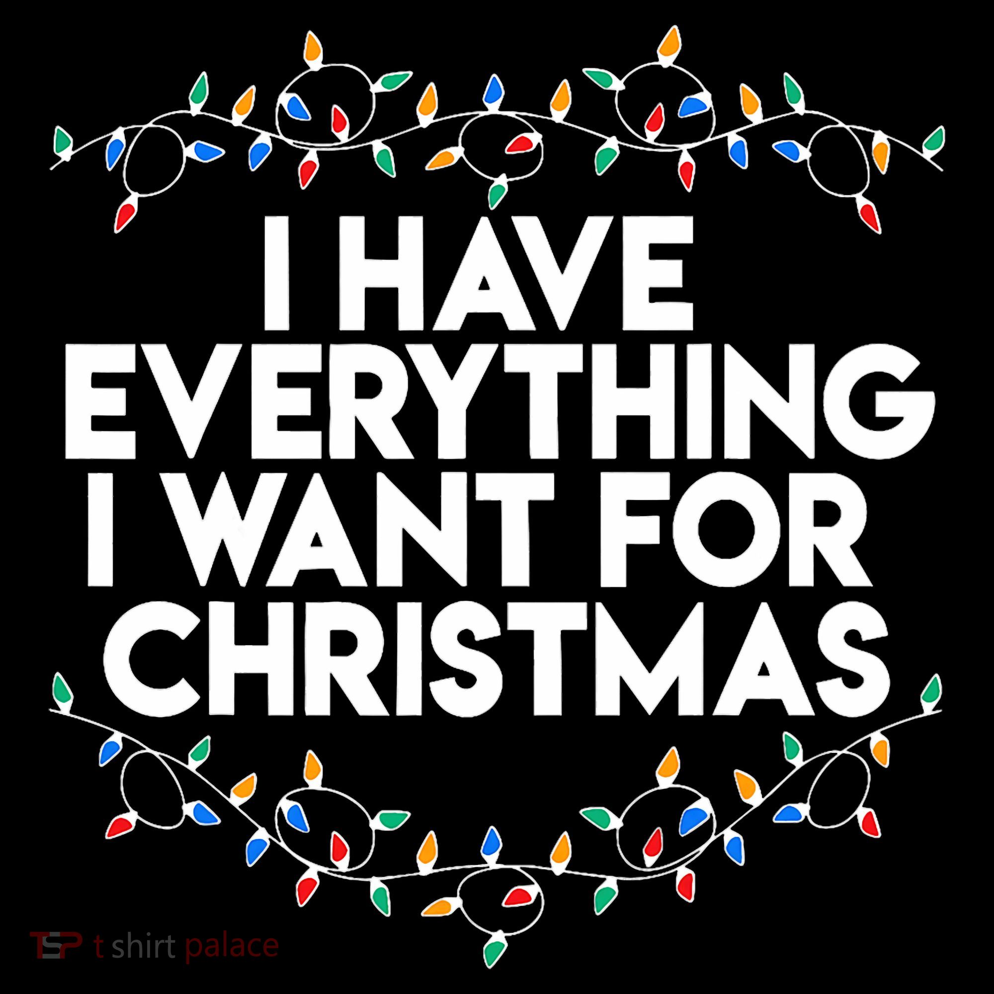 I Have Everything I Want For Christmas Funny Xmas Couples Coffee Mug