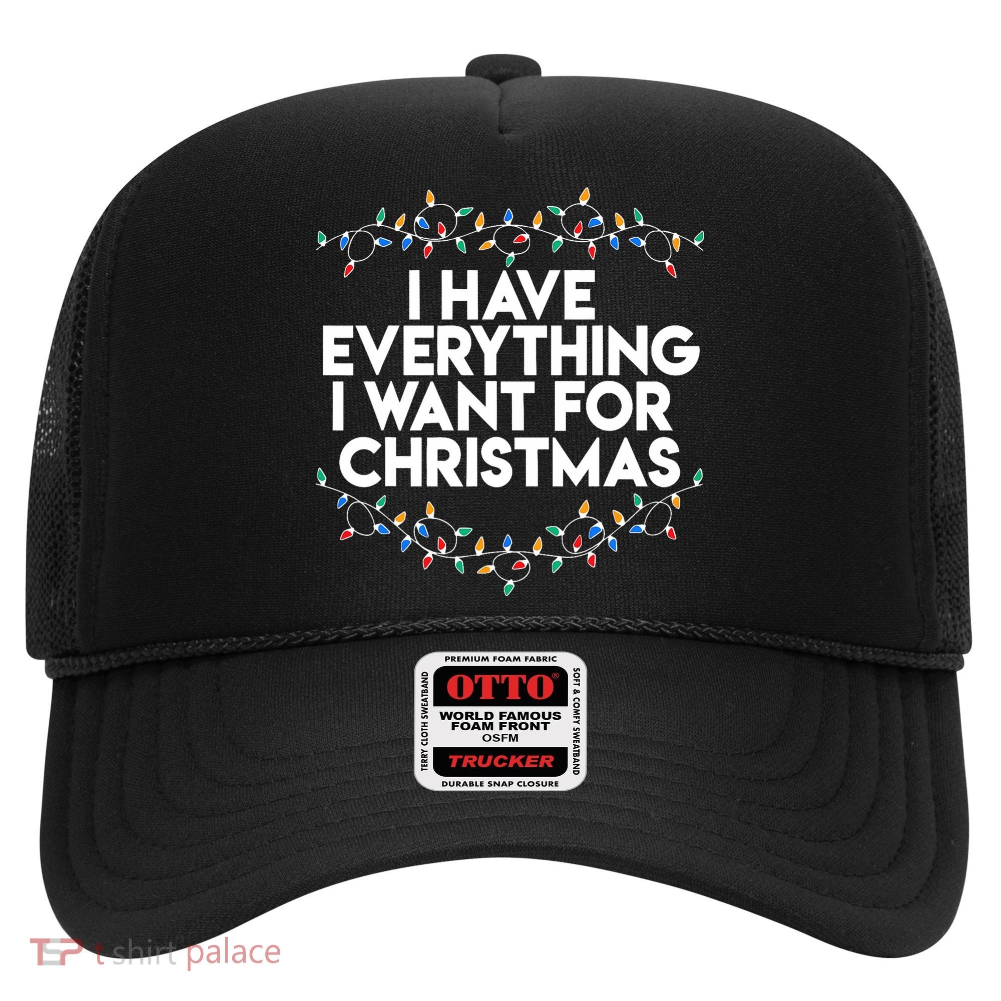I Have Everything I Want For Christmas Funny Xmas Couples Hat