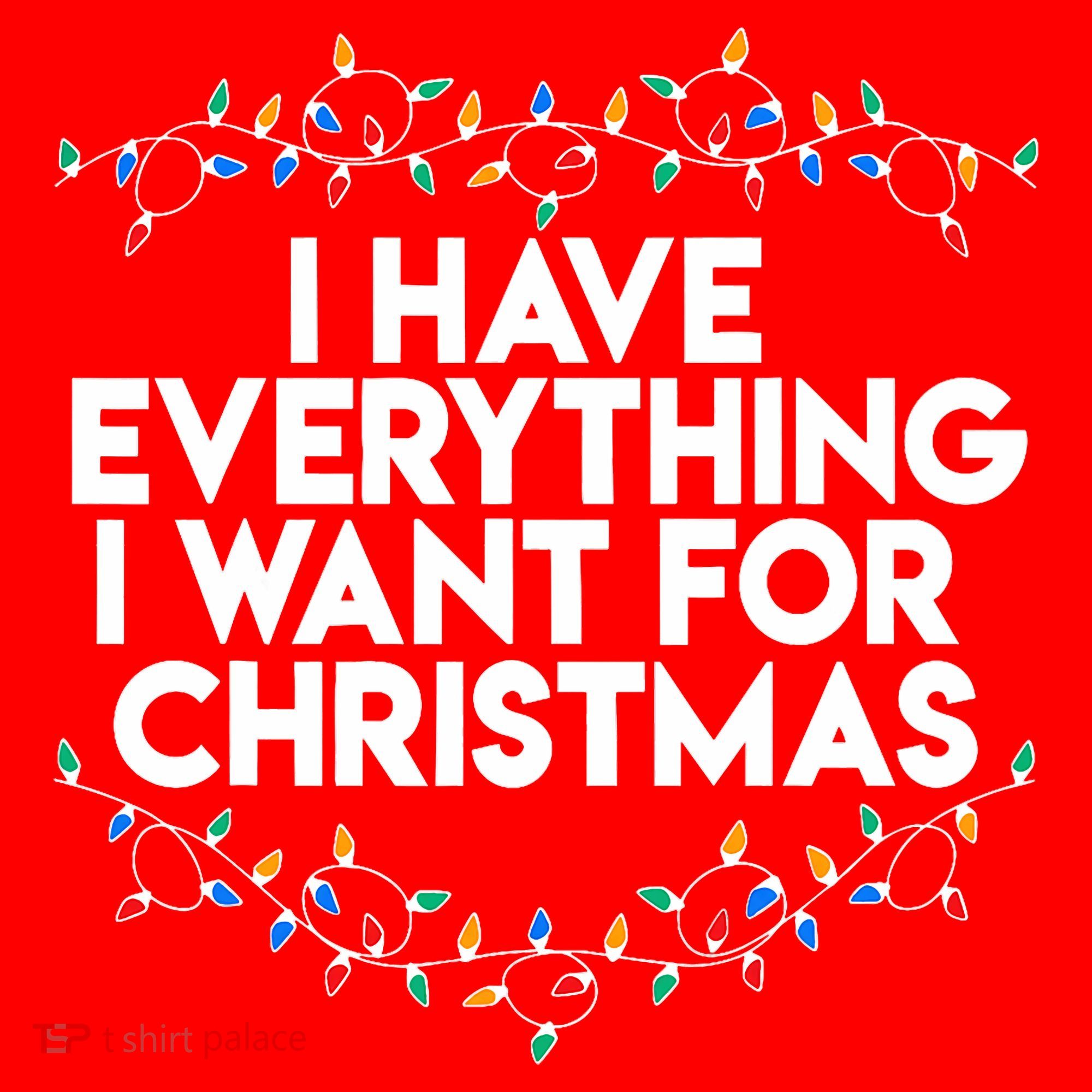 I Have Everything I Want For Christmas Funny Xmas Couples Santa Hat