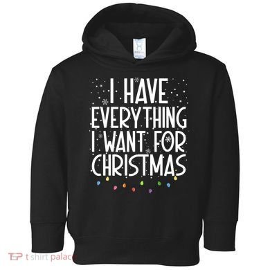 I Have Everything I Want For Christmas Festive Toddler Hoodie