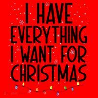 I Have Everything I Want For Christmas Festive Santa Hat thumb 1