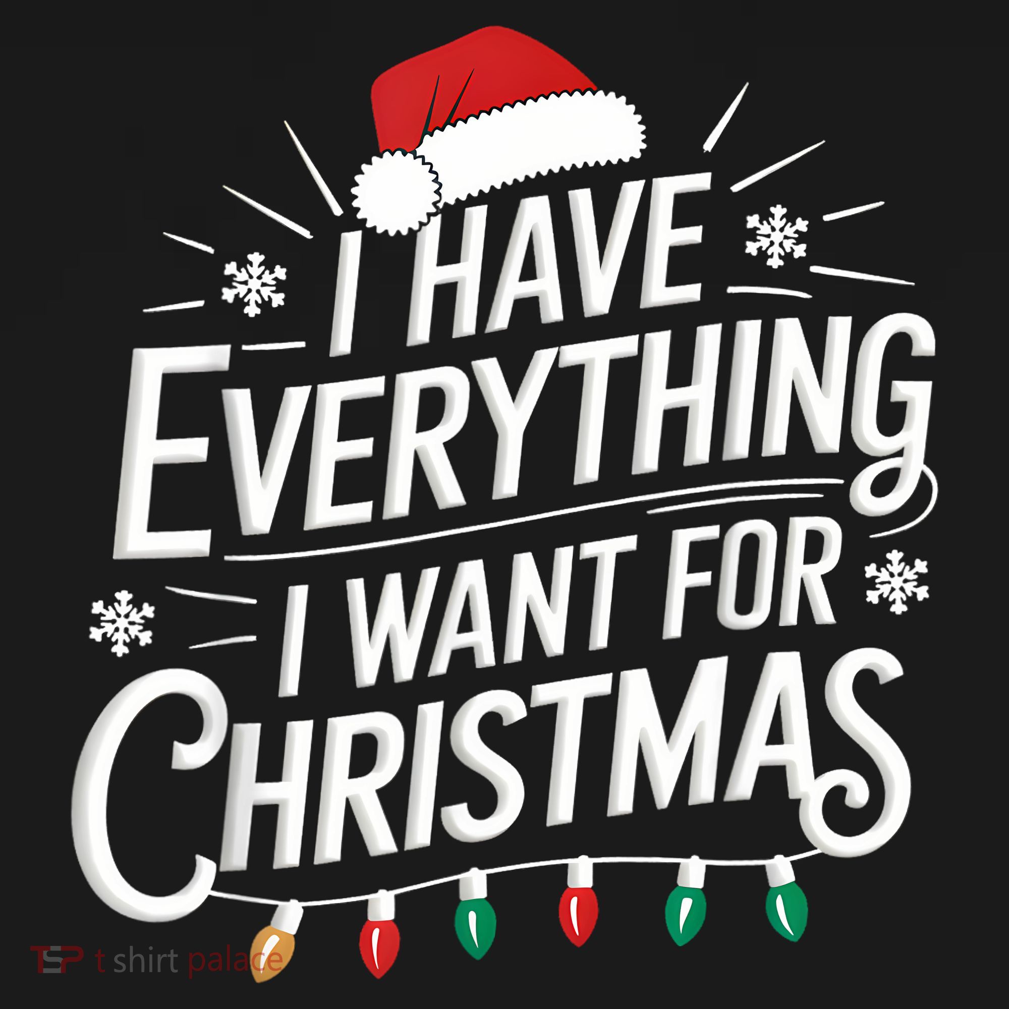 I Have Everything I Want For Christmas Couples Matching Long Sleeve Shirt