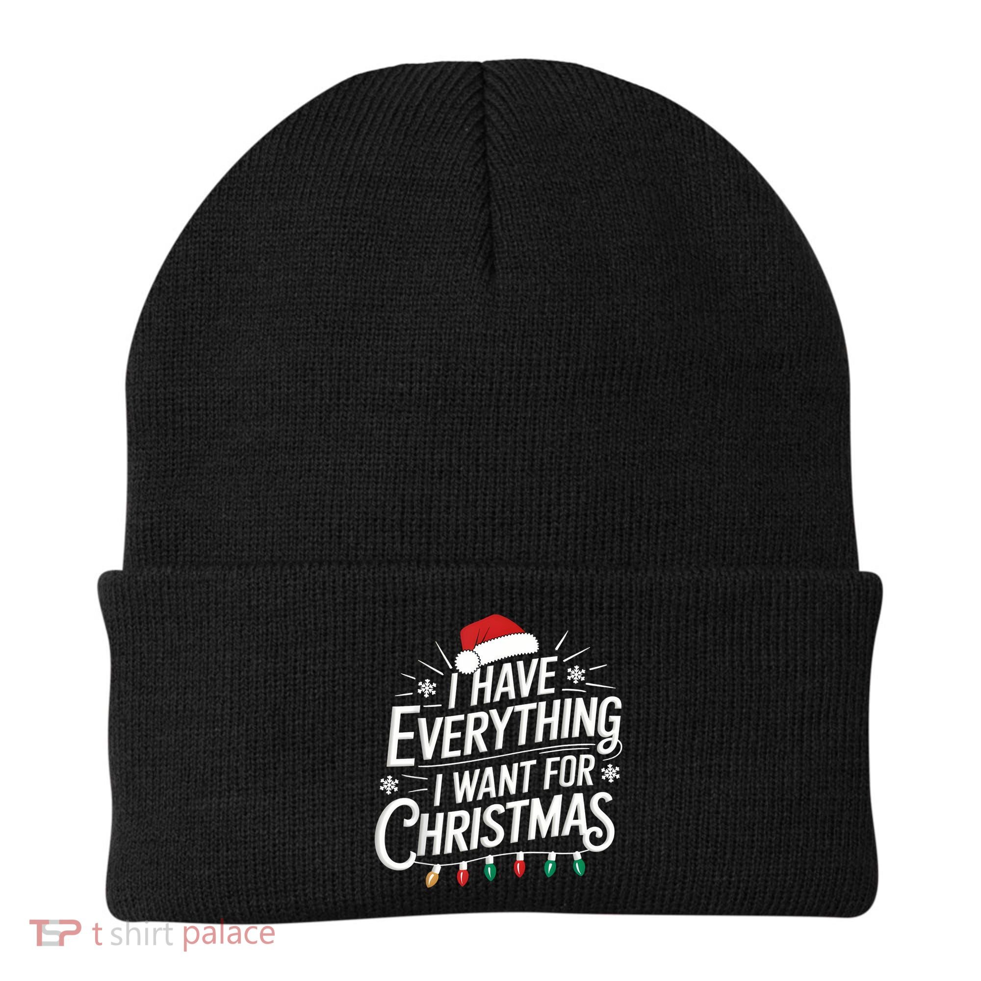 I Have Everything I Want For Christmas Couples Matching Beanie