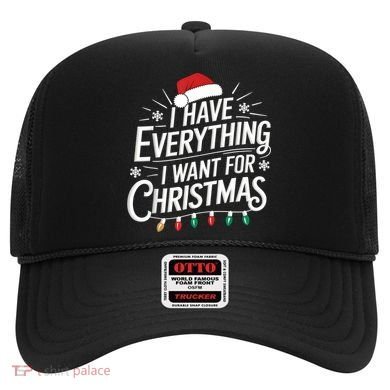 I Have Everything I Want For Christmas Couples Matching Hat