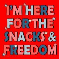 Im Here For The Snacks And Freedom 4th Of July Meaningful Gift Santa Hat thumb 1