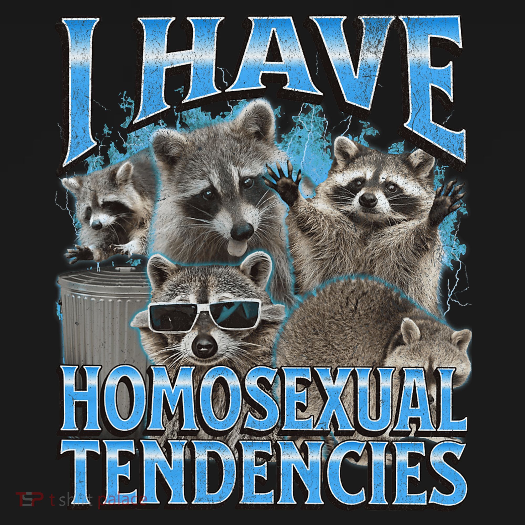 I Have Homosexual Tendencies Funny Raccoon Meme Bootleg Visor