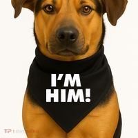 IM Him USA-Made Doggie Bandana thumb 1