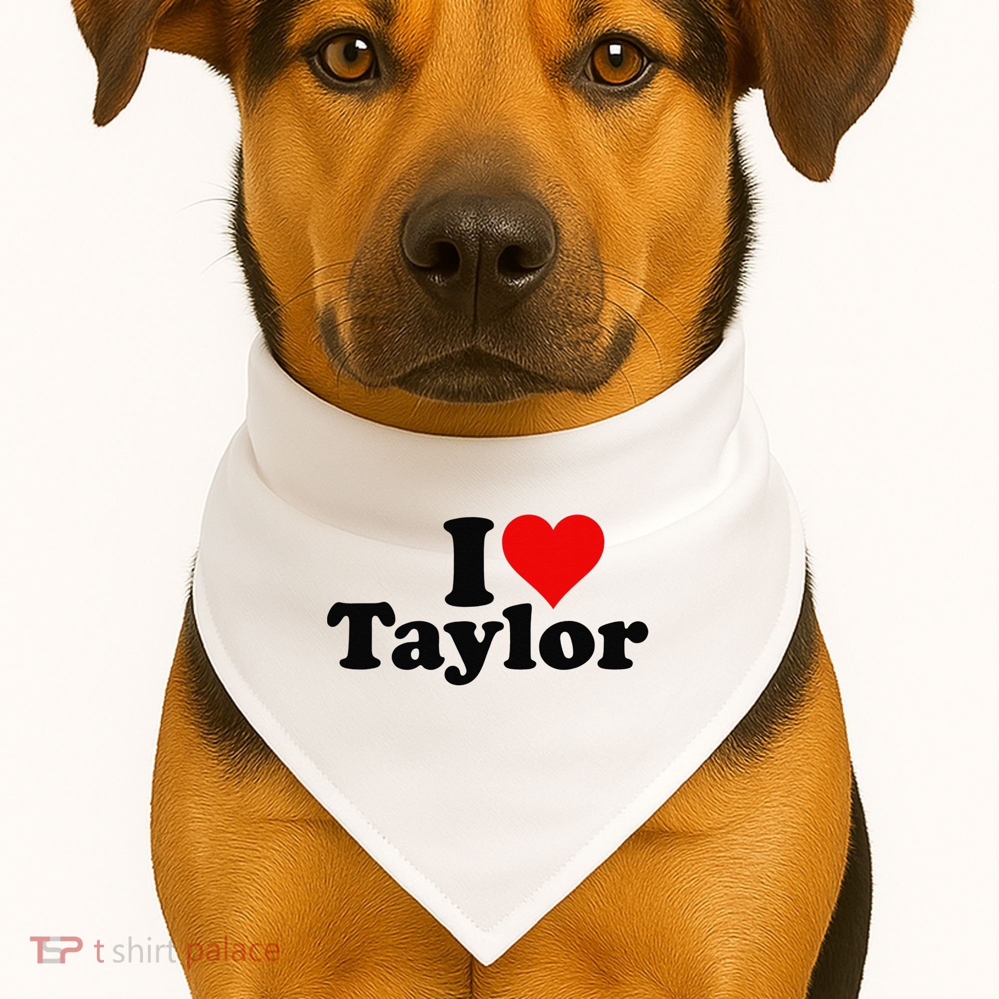 I HEART LOVE TAYLOR USA-Made Doggie Bandana