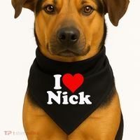 I Heart Love Nick Nicholas USA-Made Doggie Bandana thumb 1