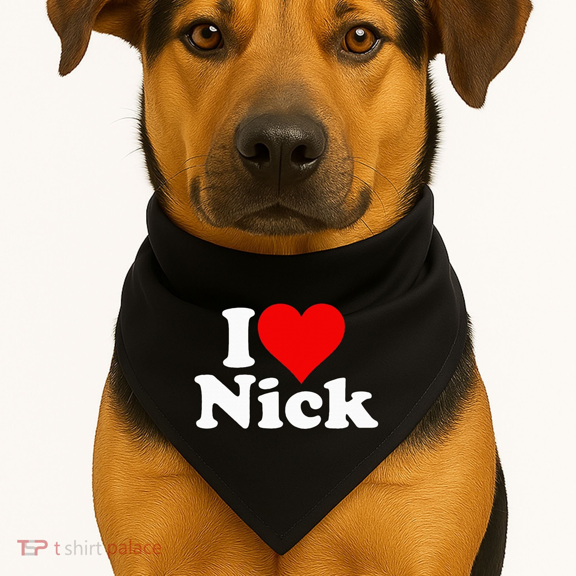 I Heart Love Nick Nicholas USA-Made Doggie Bandana
