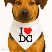 I Heart Love Washington Wa Dc USA-Made Doggie Bandana thumb 1
