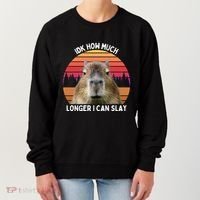 Idk How Much Longer I Can Slay Capybara Sarcastic Dank Meme Gifts Women's Sweatshirt thumb 0
