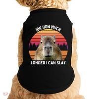 Idk How Much Longer I Can Slay Capybara Sarcastic Dank Meme Gifts Doggie Tank thumb 0
