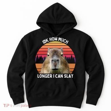 Idk How Much Longer I Can Slay Capybara Sarcastic Dank Meme Gifts Hoodie