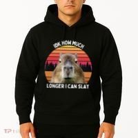 Idk How Much Longer I Can Slay Capybara Sarcastic Dank Meme Gifts Hoodie thumb 2