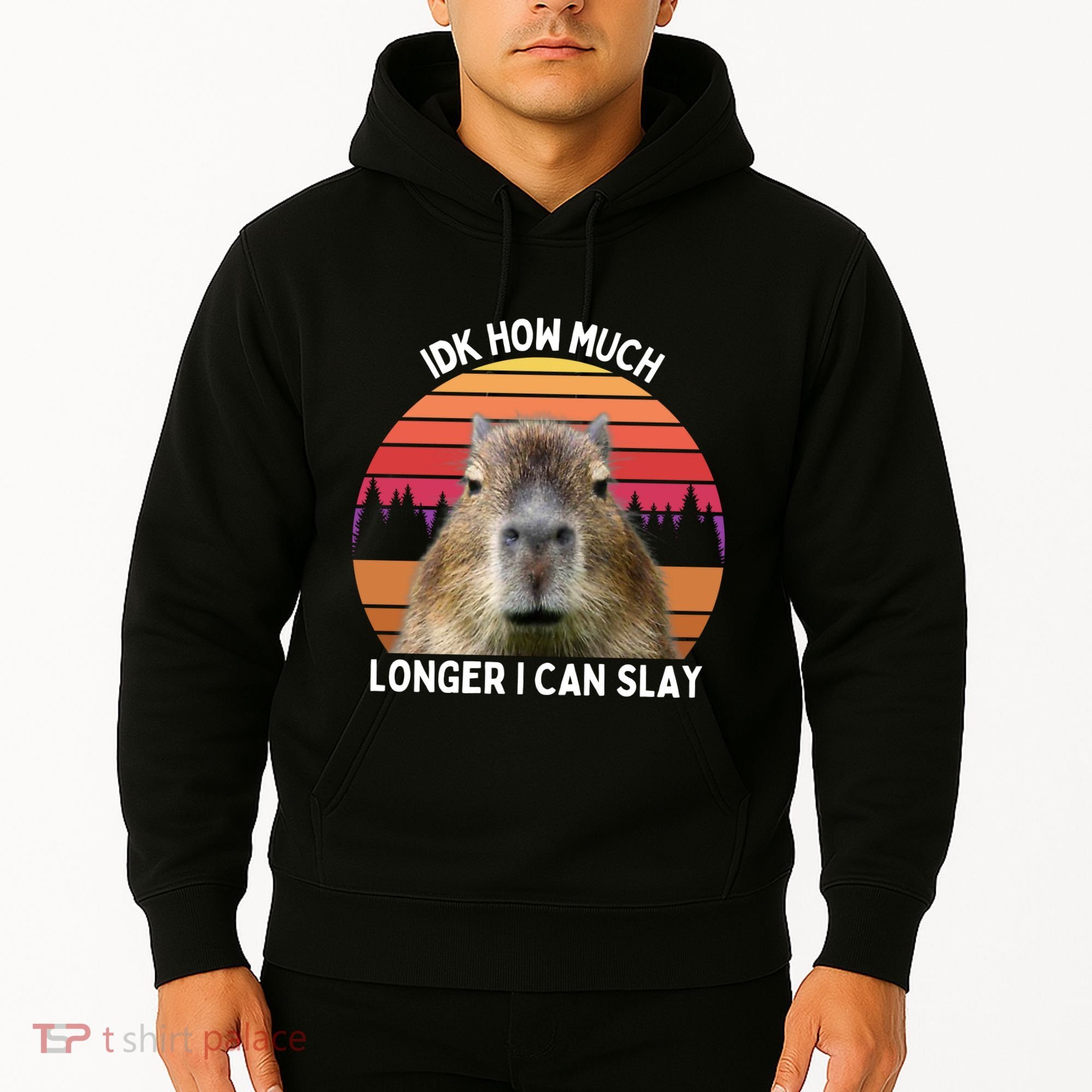 Idk How Much Longer I Can Slay Capybara Sarcastic Dank Meme Gifts Hoodie
