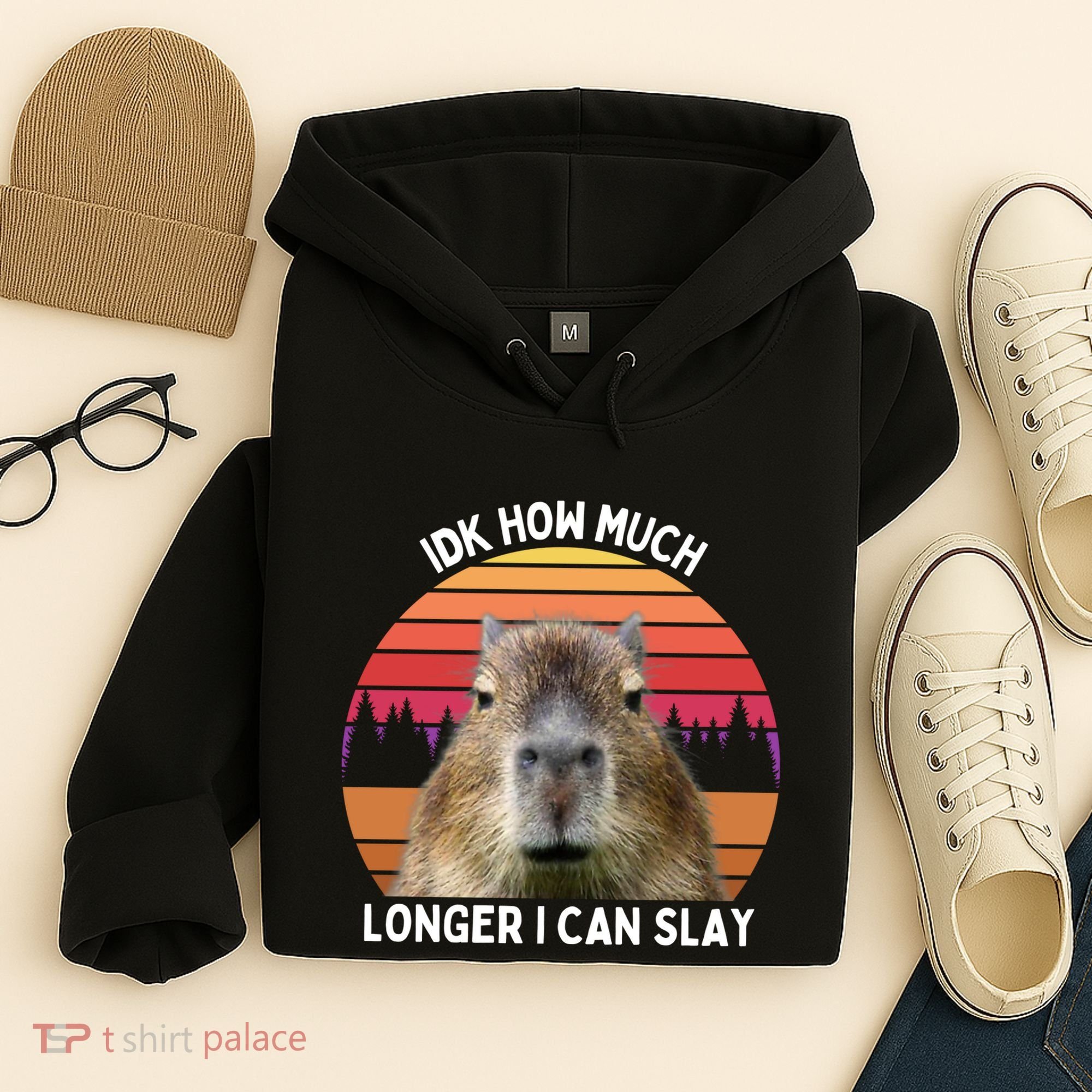Idk How Much Longer I Can Slay Capybara Sarcastic Dank Meme Gifts Hoodie