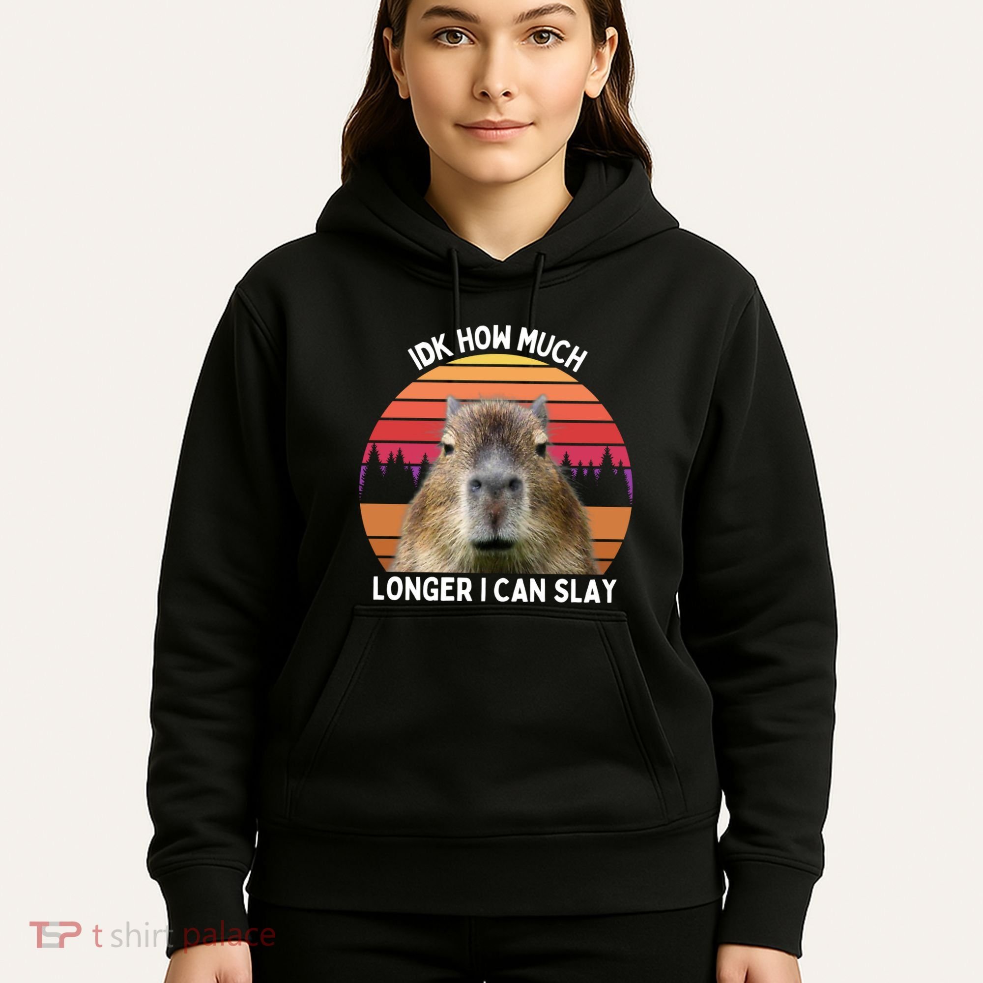 Idk How Much Longer I Can Slay Capybara Sarcastic Dank Meme Gifts Hoodie